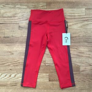 Red Royalty Stripe Light N Tight